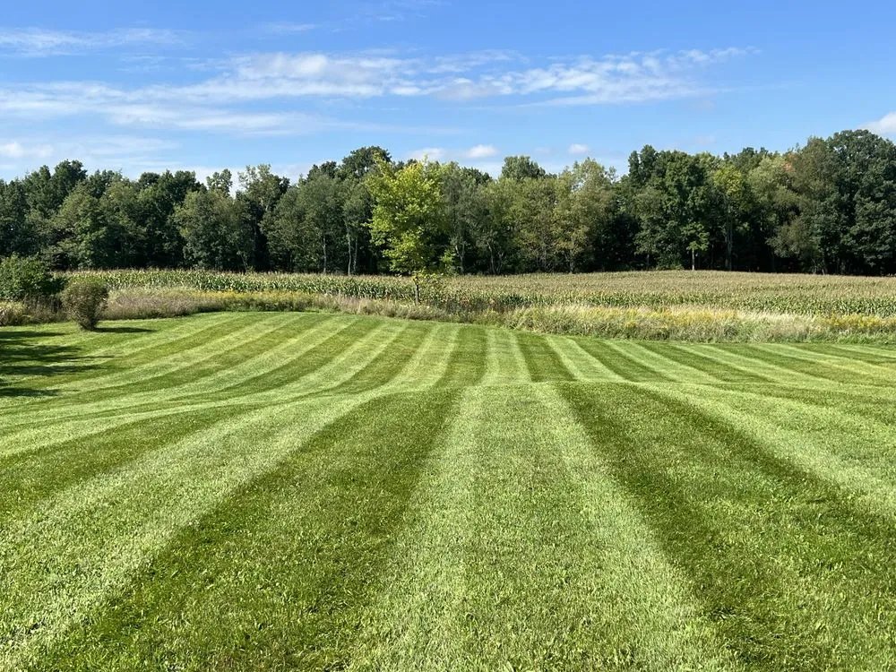Local lawn mowing service in Okemos, MI - Hammond Landscape