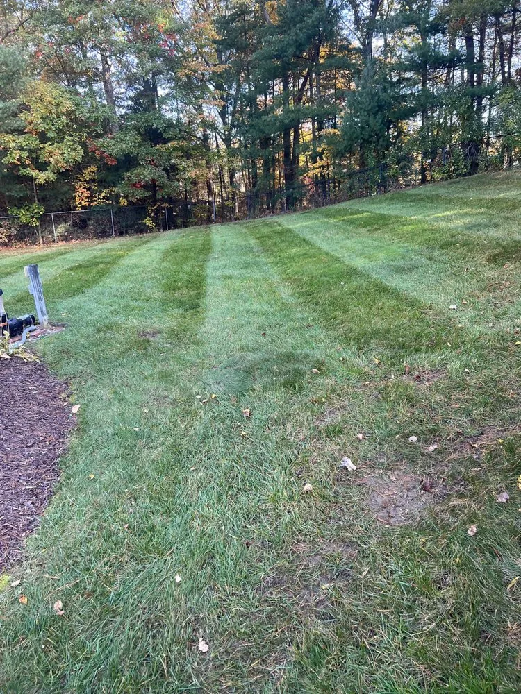 Professional yard maintenance experts serving Burrillville, RI - Hammond Lawn Care