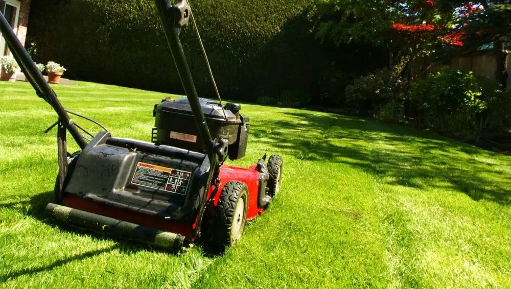 Trusted residential landscaping experts serving Bridgeville, DE - Hammond Lawn Care Services