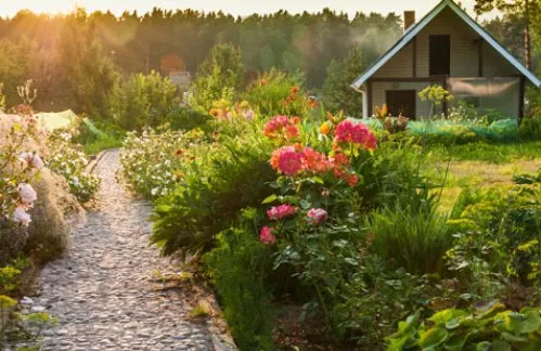 Hamm's Landscaping And Design