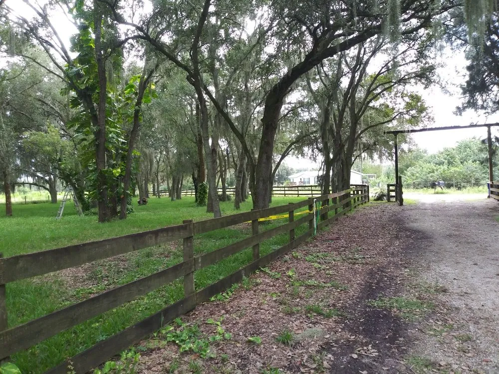 Professional lawn mowing service experts serving Avon Park, FL - Hamm's Landscaping and Pressure Washing