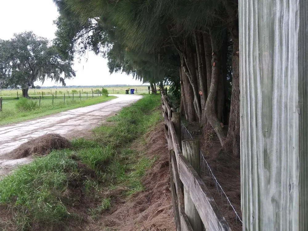 Top-rated yard cleanup service experts serving Avon Park, FL - Hamm's Landscaping and Pressure Washing