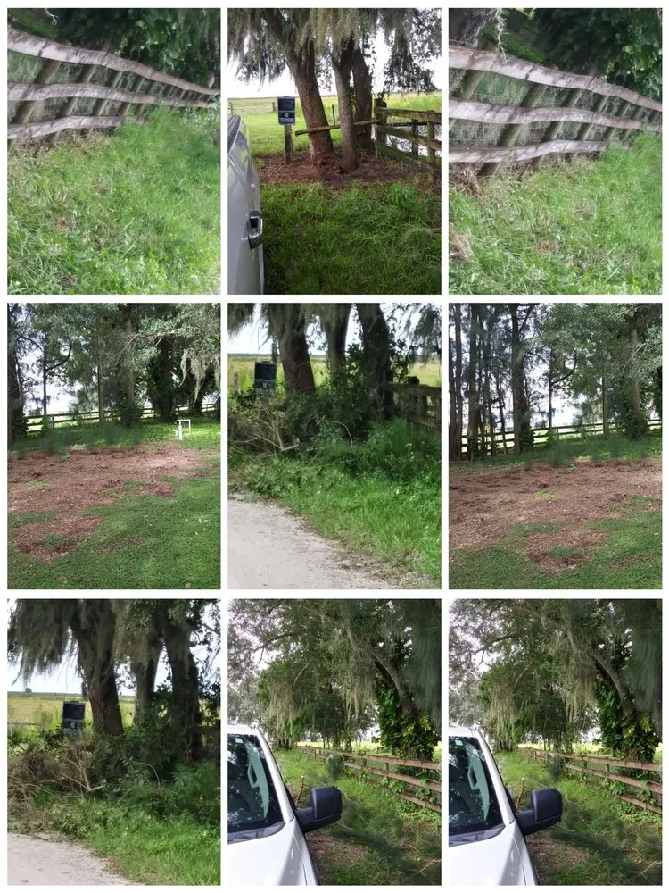 Reliable lawn mowing service in Avon Park, FL by Hamm's Landscaping and Pressure Washing