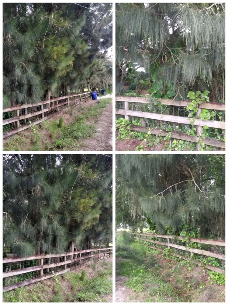 Affordable residential landscaping near you across Avon Park, FL - Hamm's Landscaping and Pressure Washing