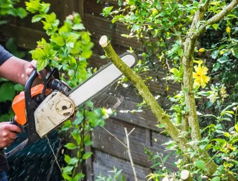 Professional lawn mowing service for residential properties across Avon Park, FL - Hamm's Landscaping and Pressure Washing