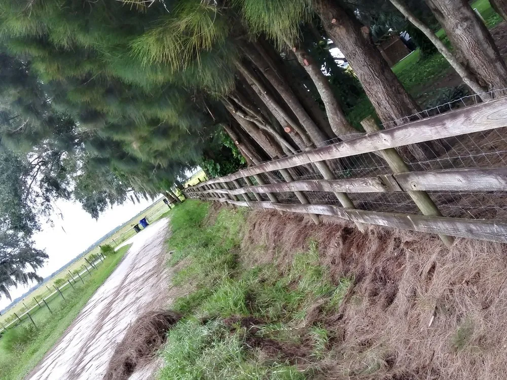 Expert landscaping services experts serving Avon Park, FL - Hamm's Landscaping and Pressure Washing