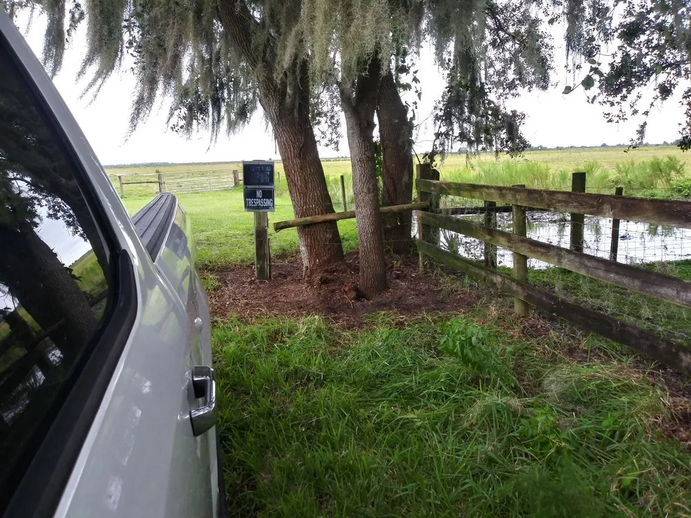 Top-rated residential landscaping for year-round maintenance across Avon Park, FL - Hamm's Landscaping and Pressure Washing