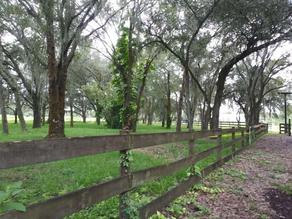 Expert residential landscaping experts serving Avon Park, FL - Hamm's Landscaping and Pressure Washing