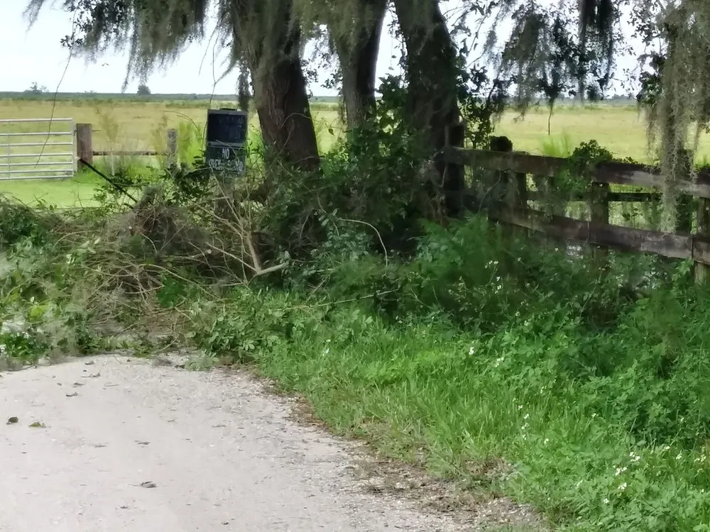 Custom landscape design in Avon Park, FL - Hamm's Landscaping and Pressure Washing