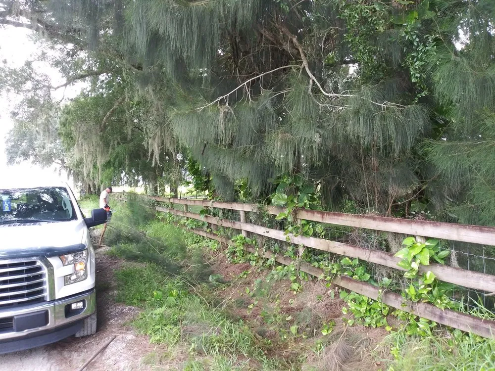 Reliable landscape design in Avon Park, FL by Hamm's Landscaping and Pressure Washing