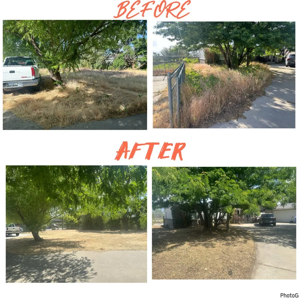 Expert lawn care service for residential properties across Bluffdale, UT - Hamo Liners Lawn Care Services