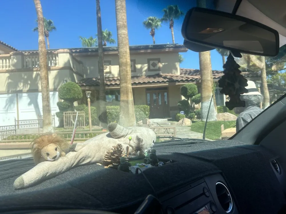 Trusted yard maintenance in Las Vegas, NV by Hampton Breezes