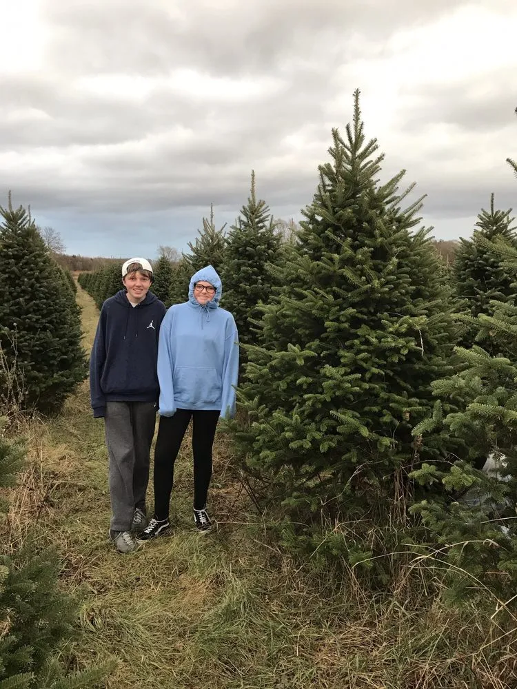 Local yard maintenance near you in Dennison, MN by Hampton Hills Tree Farm