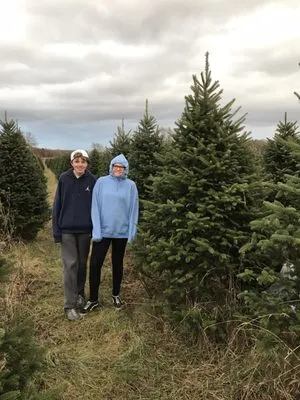 Hampton Hills Tree Farm
