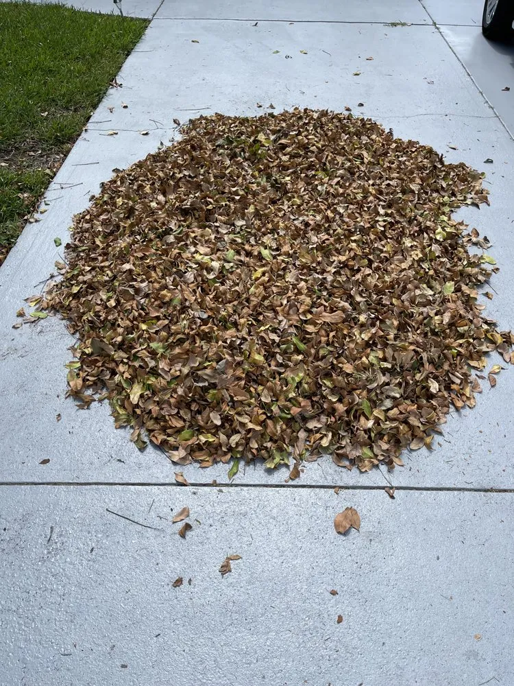 Custom lawn mowing service for outdoor upgrades in Bradenton, FL by Hampton Landscaping