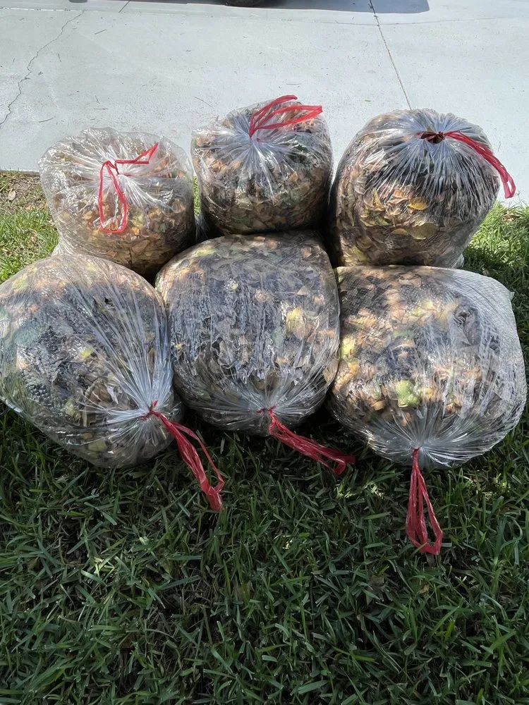 Affordable lawn care service in Bradenton, FL - Hampton Landscaping