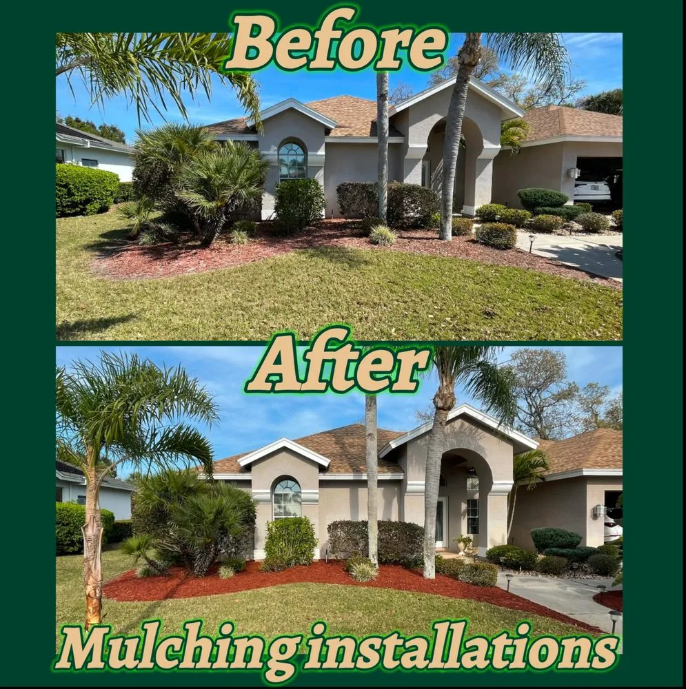 Local landscape design in Bradenton, FL - Hampton Landscaping