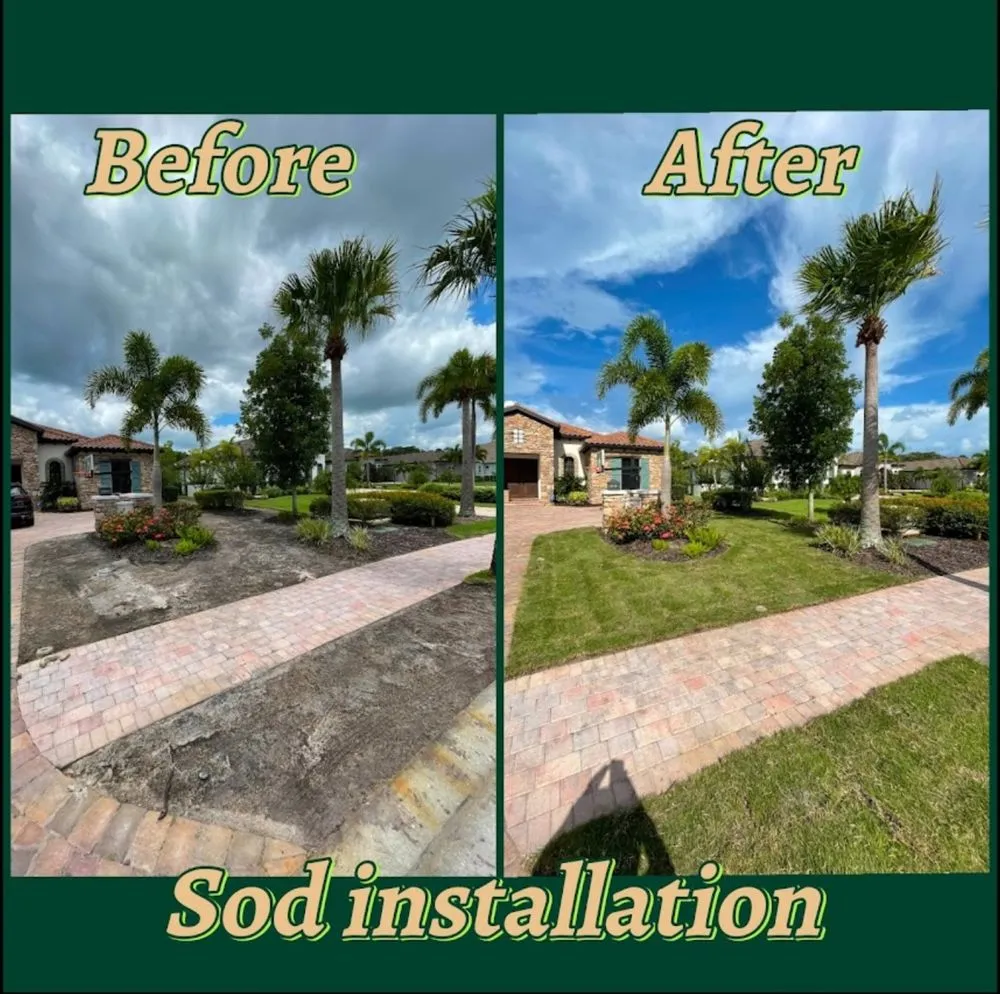 Expert landscaping services in Bradenton, FL by Hampton Landscaping