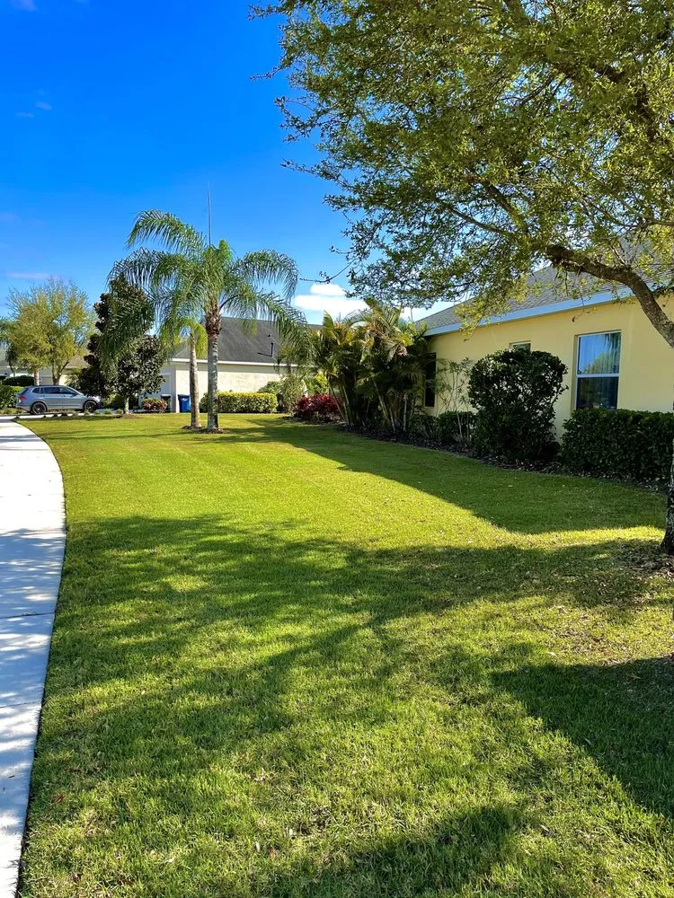 Top-rated residential landscaping in Bradenton, FL - Hampton Landscaping