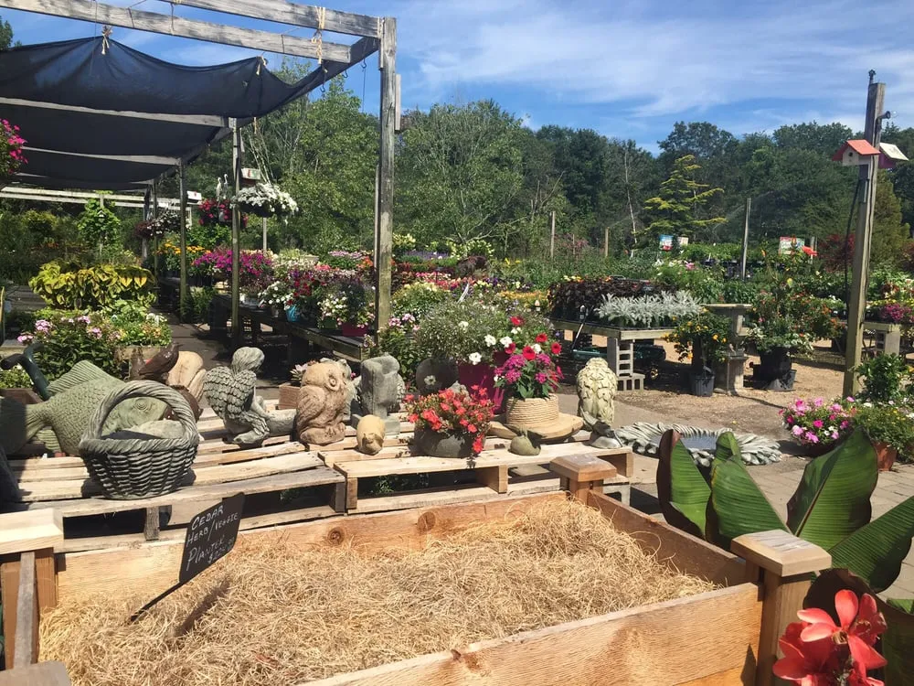 Custom lawn mowing service in Hampton Bays, NY by Hampton Nursery