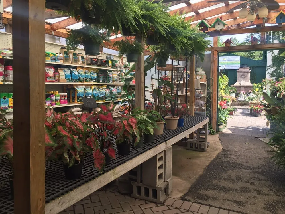 Top-rated lawn care service for beautiful yards in Hampton Bays, NY by Hampton Nursery