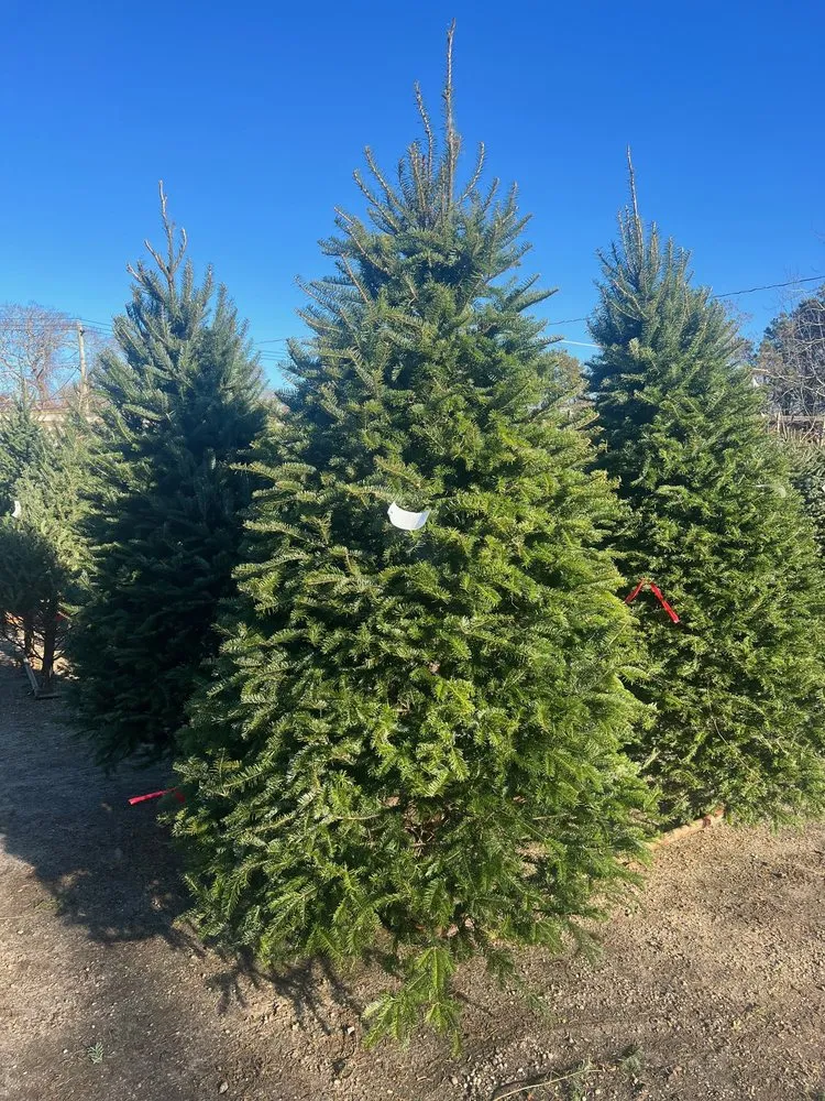 Affordable landscape installation for residential properties in Hampton Bays, NY by Hampton Nursery