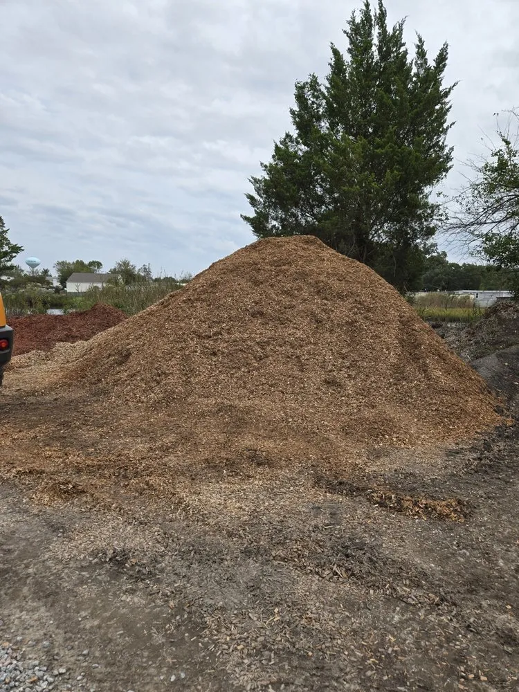 Expert lawn care service experts serving Chesapeake, VA - Hampton Roads Mowers And Mulch