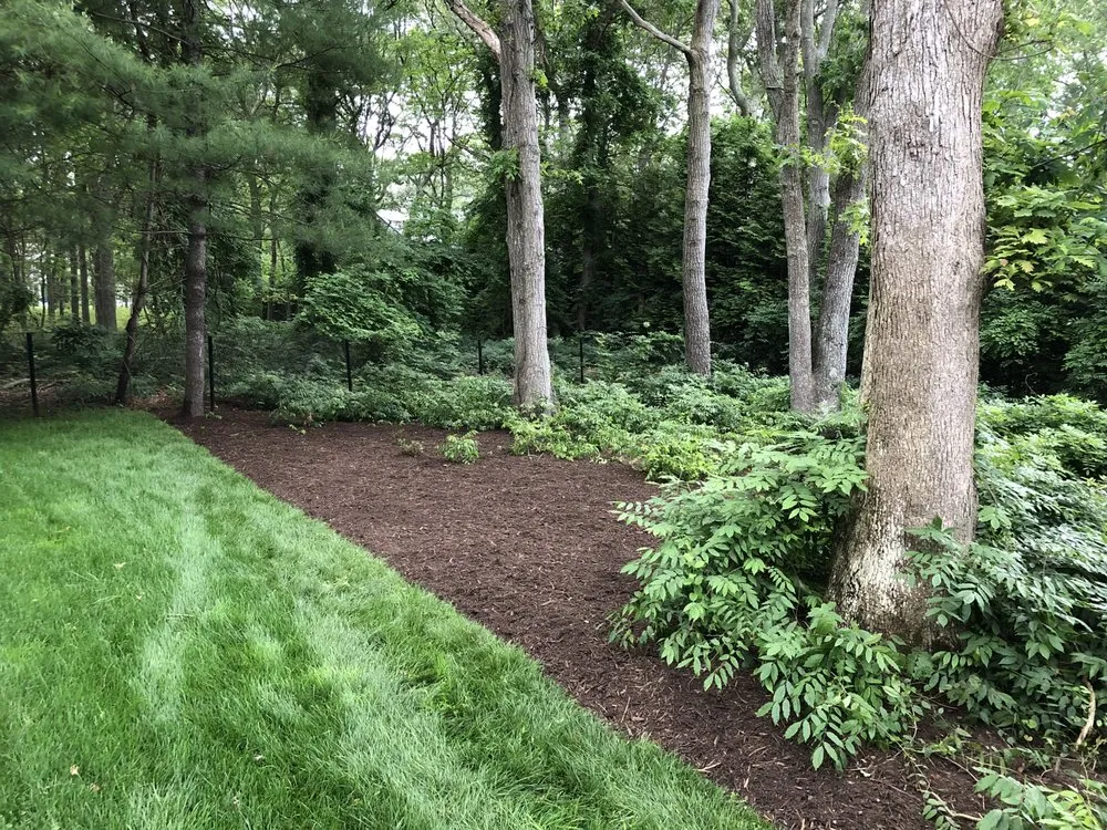 Expert landscaping services in Shirley, NY - Hampton Sunset View