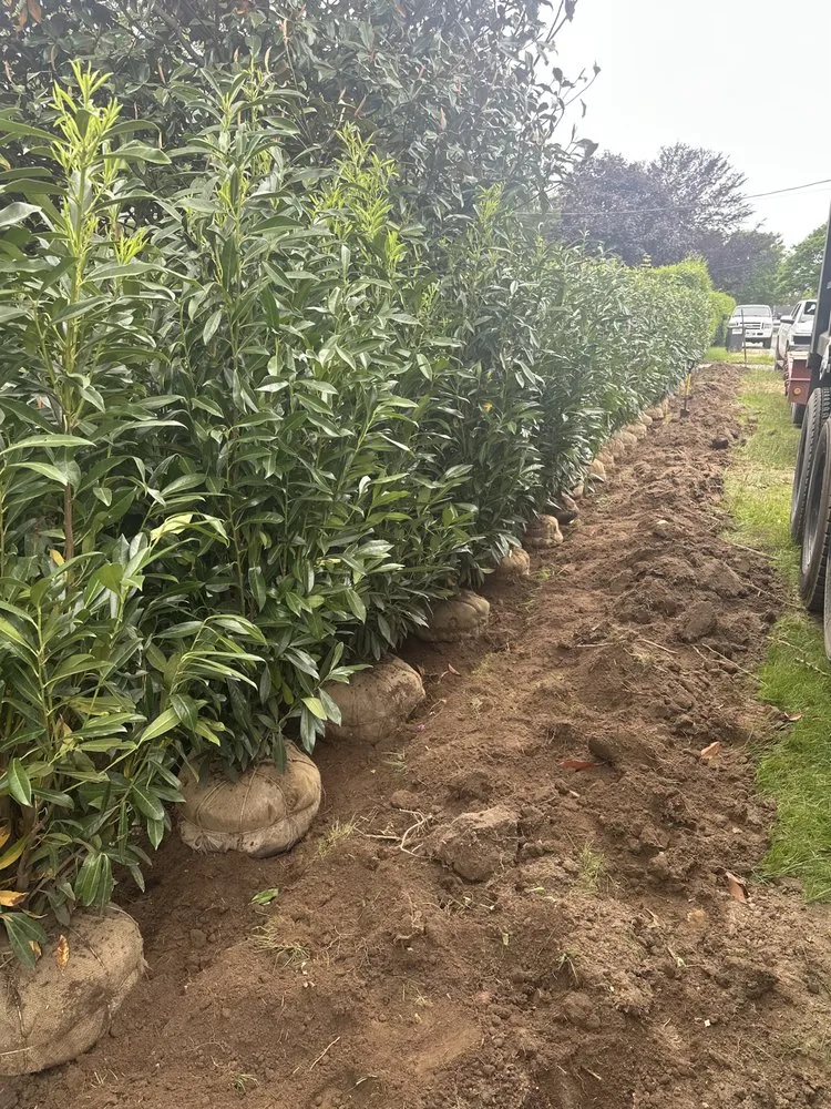 Local yard cleanup service for homes across Shirley, NY - Hampton Sunset View