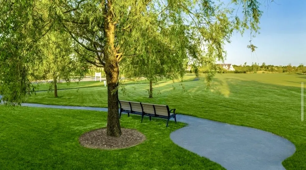 Local residential landscaping in Westhampton, NY by Hampton Turf & Tree Care