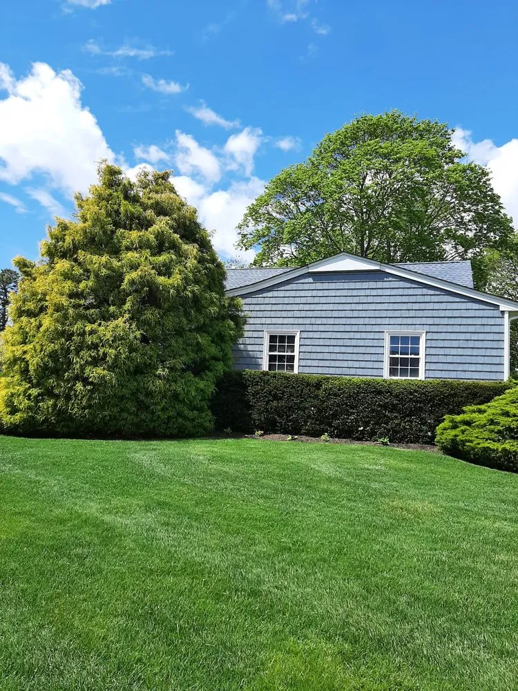 Local lawn care service experts serving Westhampton, NY - Hampton Turf & Tree Care