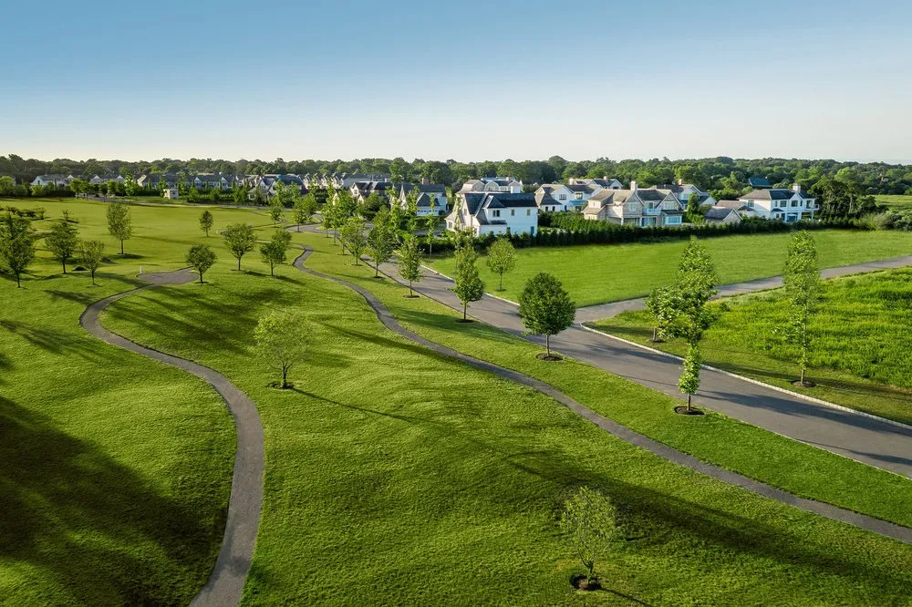 Reliable yard cleanup service near you across Westhampton, NY - Hampton Turf & Tree Care