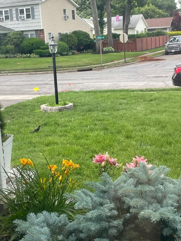 Trusted lawn care service in Westhampton, NY by Hampton Turf & Tree Care