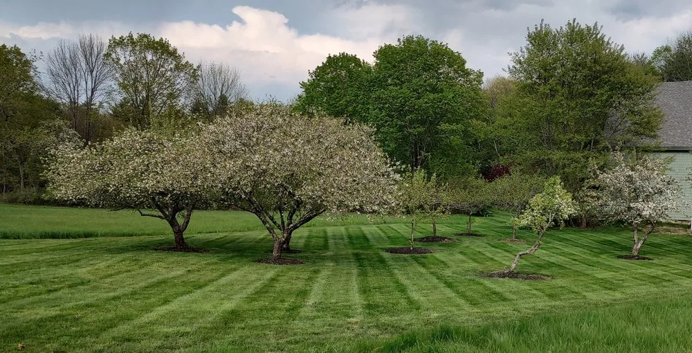 Top-rated lawn care service experts serving Hampton, NH - Hampton Yard Guys