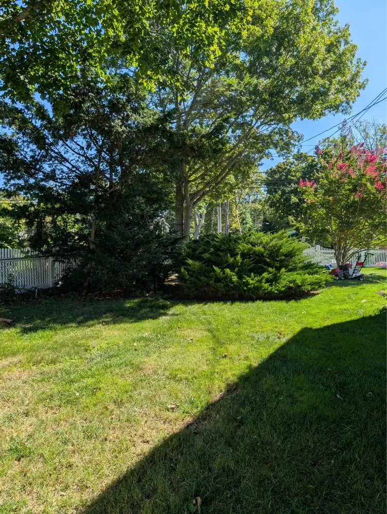 Professional garden landscaping in Port Jefferson, NY - Hamptons Horticulture