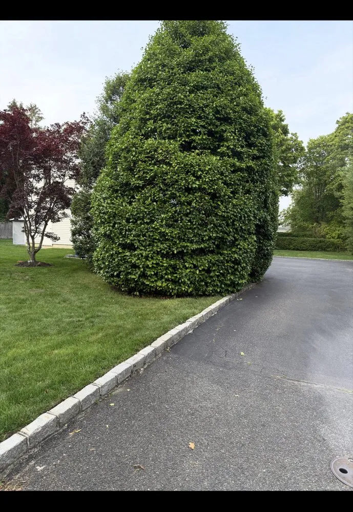 Reliable landscaping services in Port Jefferson, NY by Hamptons Horticulture