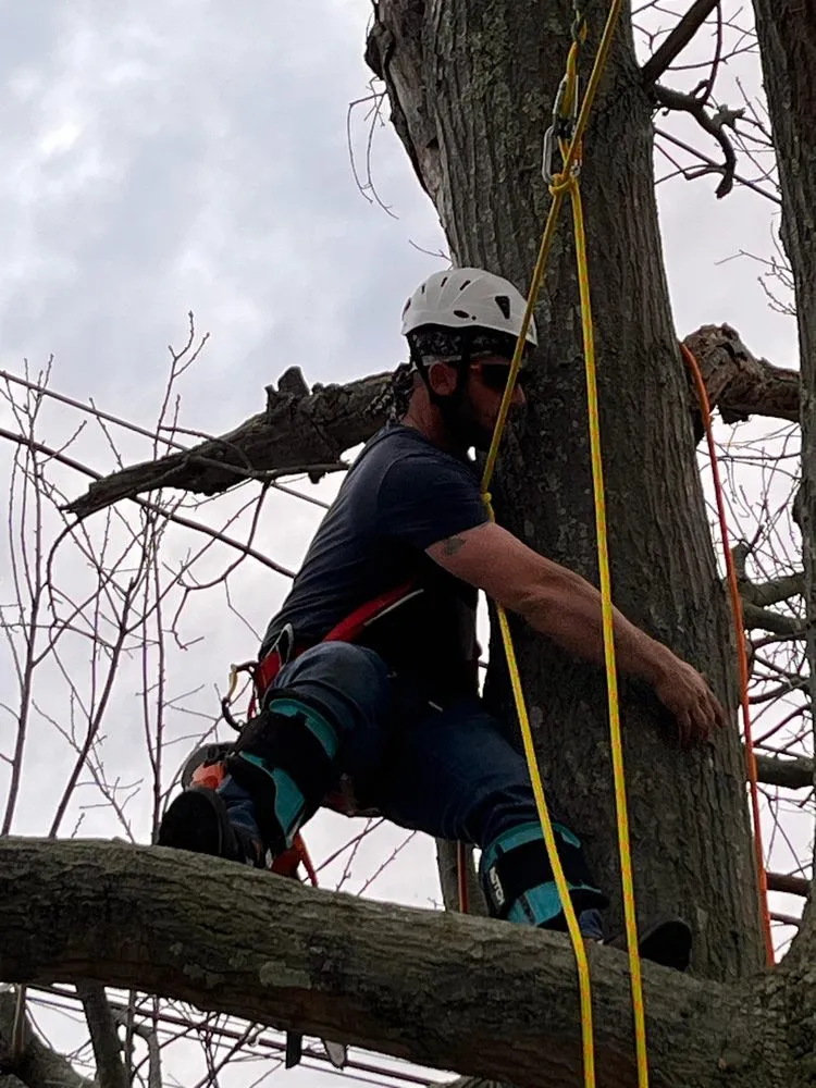 Custom residential landscaping for homes across Port Jefferson, NY - Hamptons Horticulture