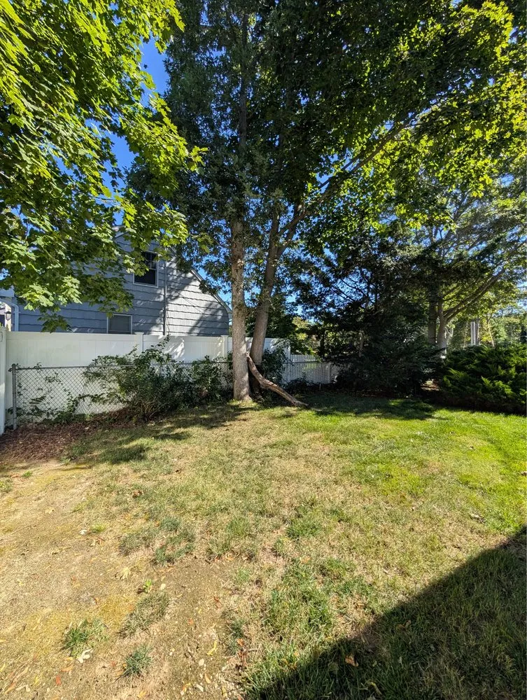 Reliable yard cleanup service in Port Jefferson, NY by Hamptons Horticulture