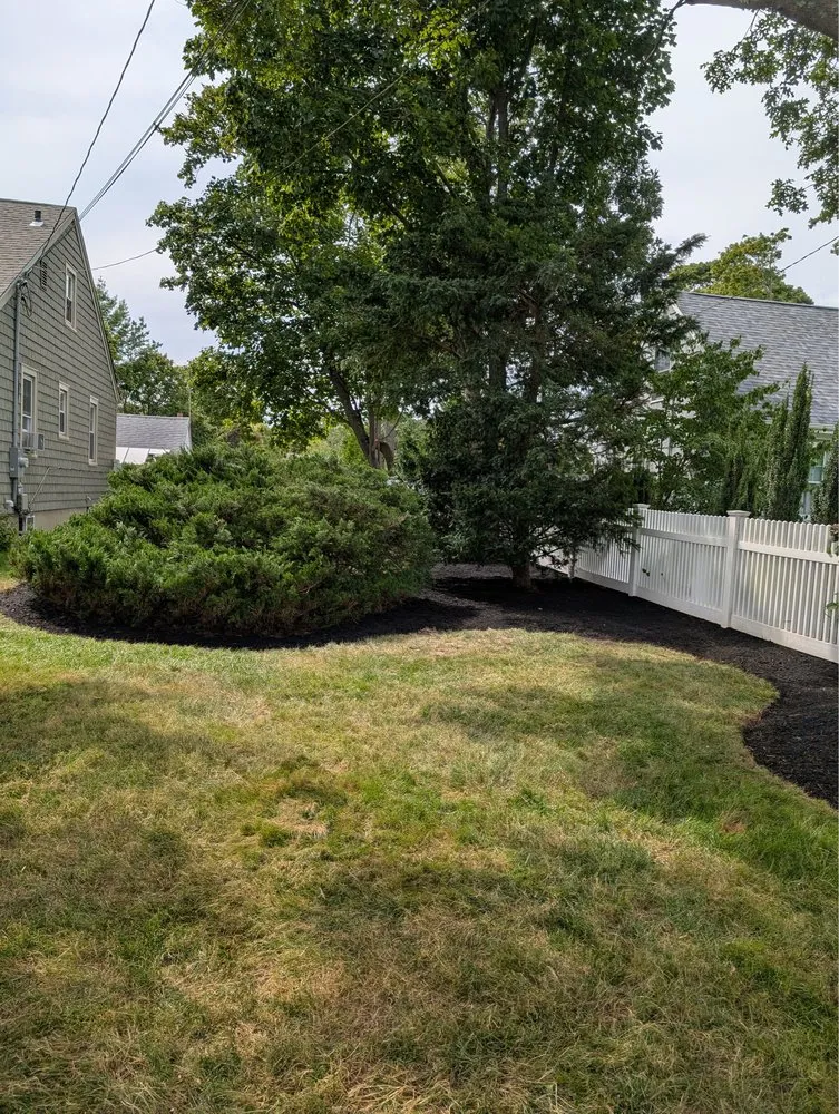 Professional yard cleanup service for outdoor upgrades across Port Jefferson, NY - Hamptons Horticulture