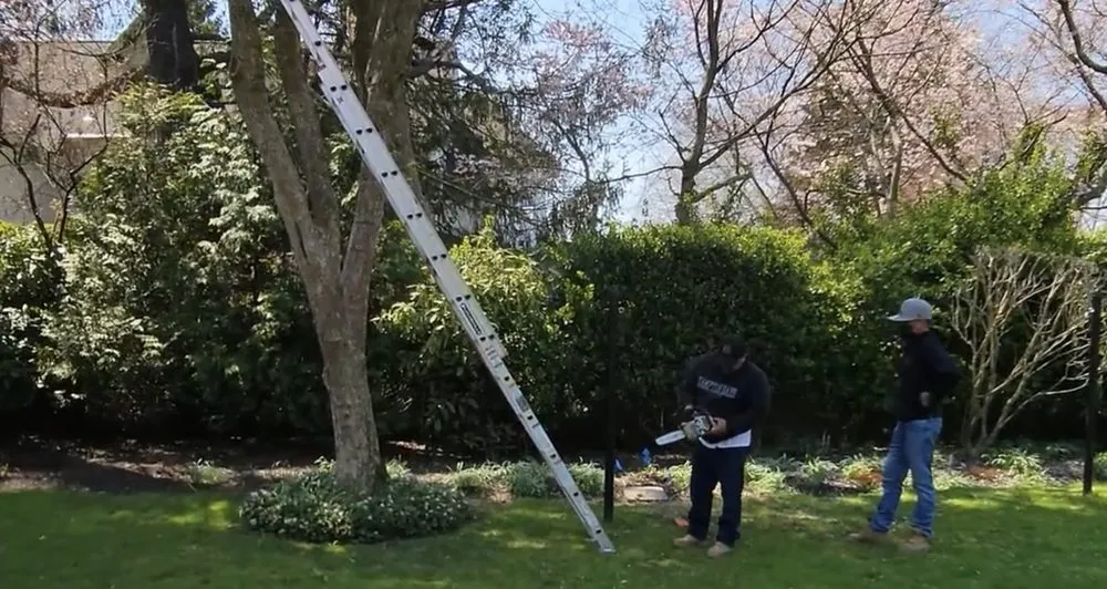 Affordable lawn mowing service experts serving Southampton, NY - Hamptons Luxury Services