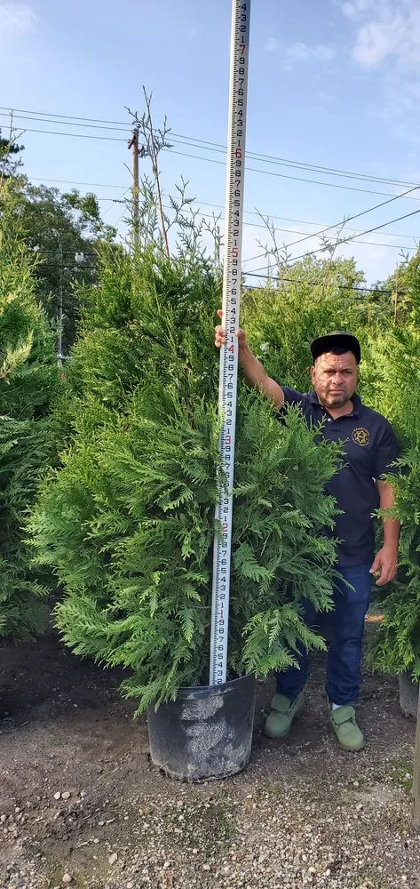 Professional landscape installation with custom design in Southampton, NY by Hamptons Luxury Services