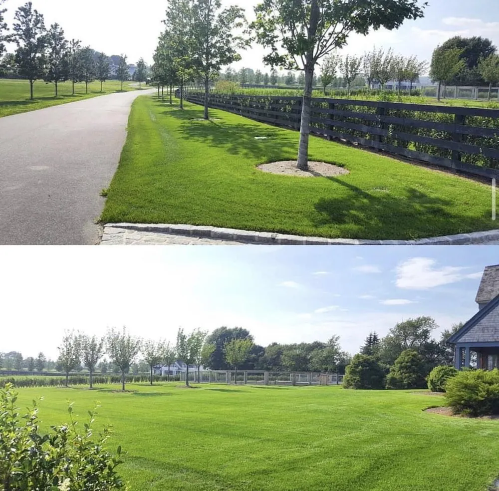 Affordable lawn care service in Southampton, NY by Hamptons Luxury Services