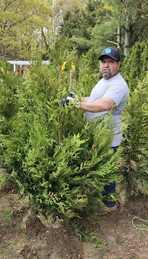 Custom residential landscaping for year-round maintenance across Southampton, NY - Hamptons Luxury Services