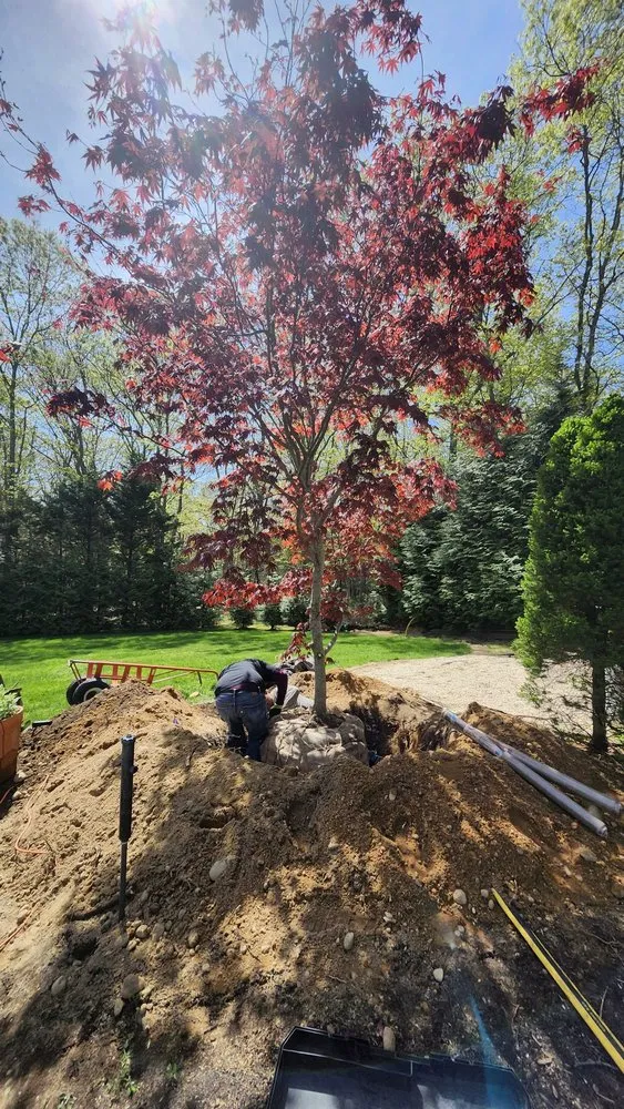 Reliable yard maintenance in Hampton Bays, NY - Hamptons Natural Luxe