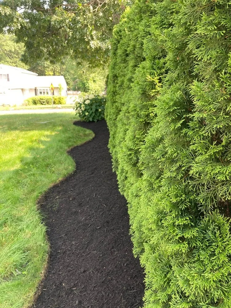 Expert yard cleanup service for year-round maintenance across Hampton Bays, NY - Hamptons Natural Luxe