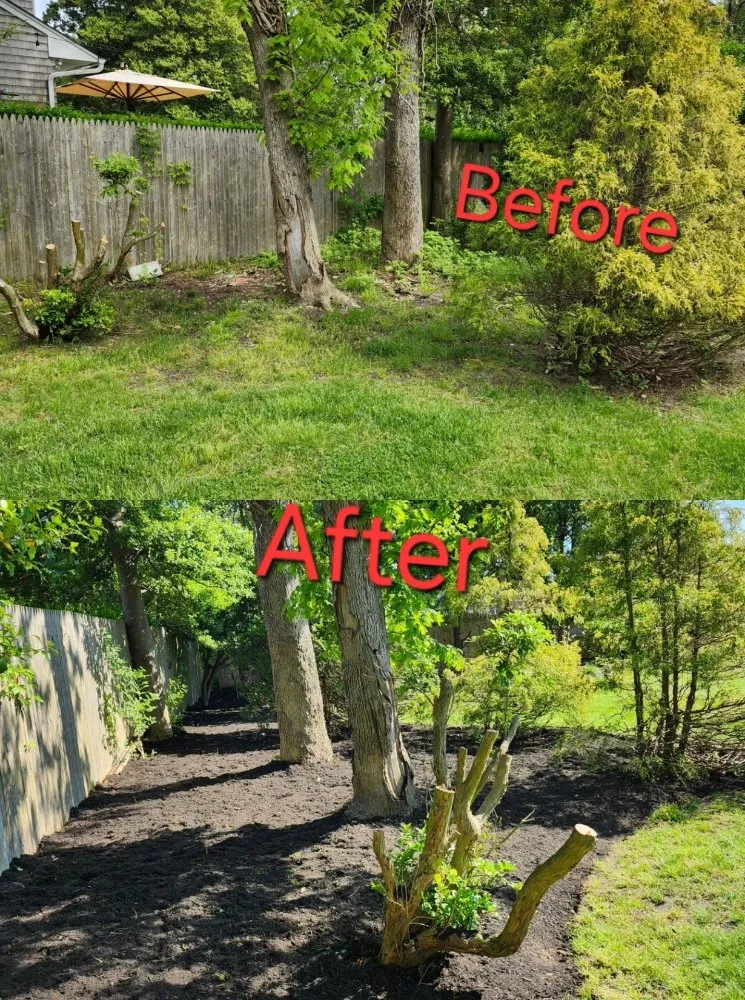 Affordable landscape design in Hampton Bays, NY - Hamptons Natural Luxe