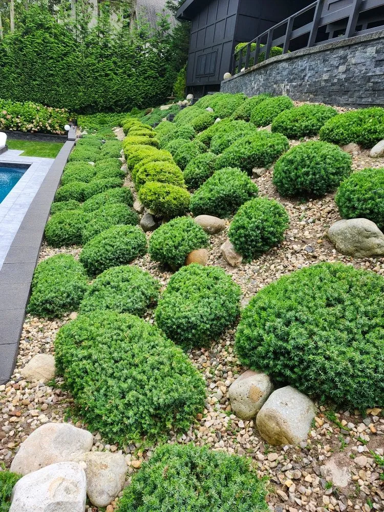 Professional landscape installation for year-round maintenance in Hampton Bays, NY by Hamptons Natural Luxe