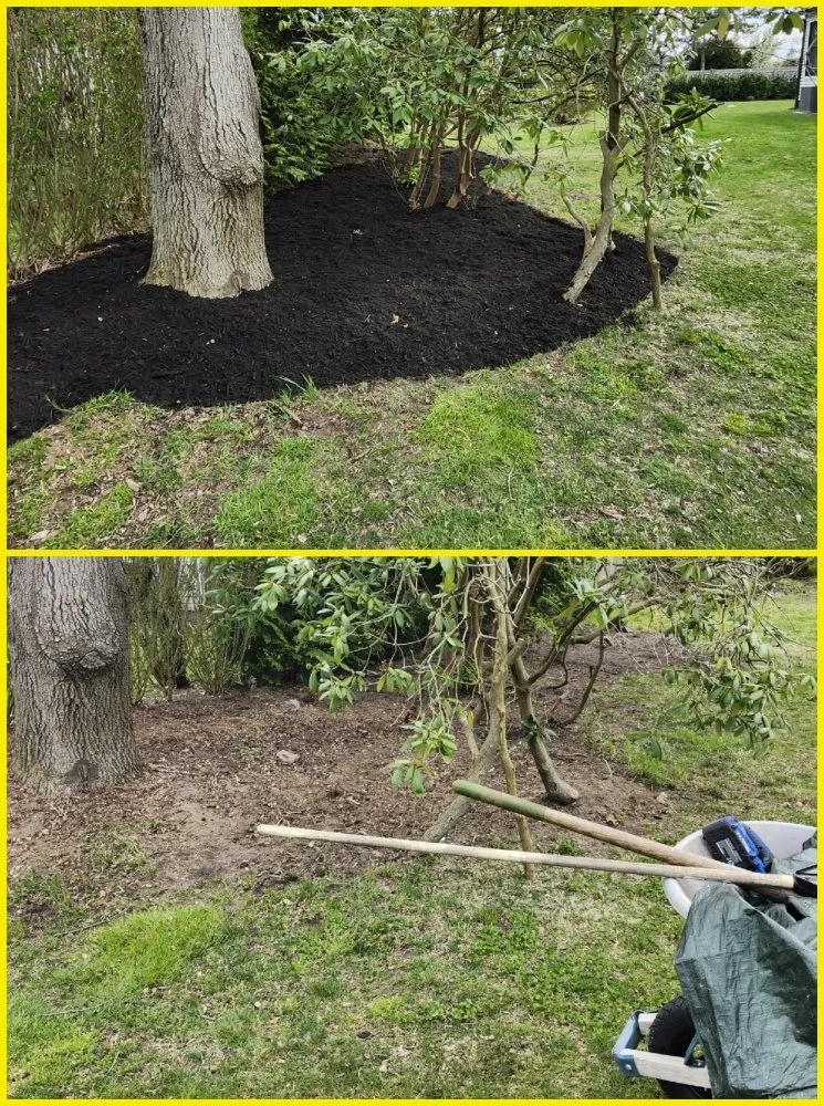 Affordable landscape installation near you across Hampton Bays, NY - Hamptons Natural Luxe