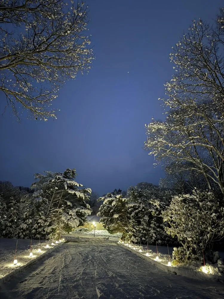 Expert yard cleanup service in East Quogue, NY - Hamptons Night Path