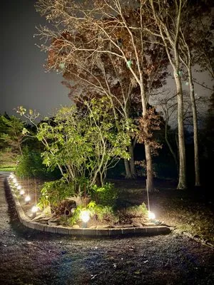 Hamptons Night Path